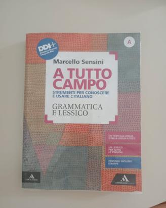 libro scolastico 