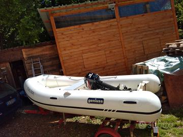 Genius mercury ellebi