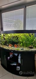 Acquario 500lt