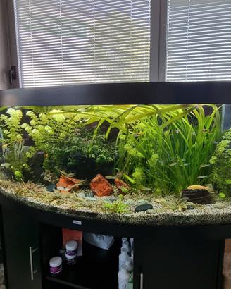 Acquario 500lt