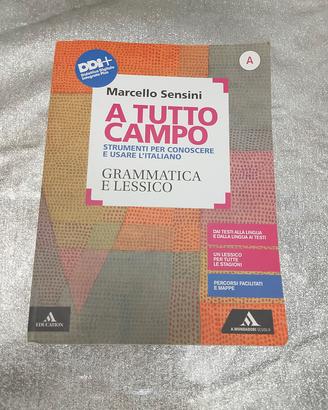 LIBRO GRAMMATICA ITALIANA 