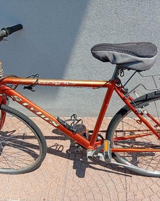 Bici Uomo 