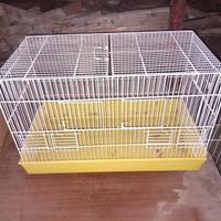 Gabbiette Per Uccelli