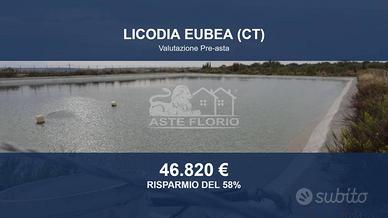 Immobile in asta di 46740 m² a Licodia Eubea