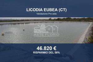 Immobile in asta di 46740 m² a Licodia Eubea