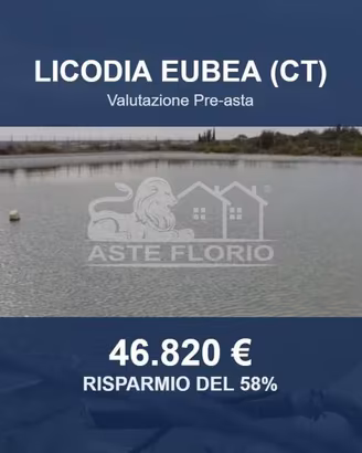 Immobile in asta di 46740 m² a Licodia Eubea