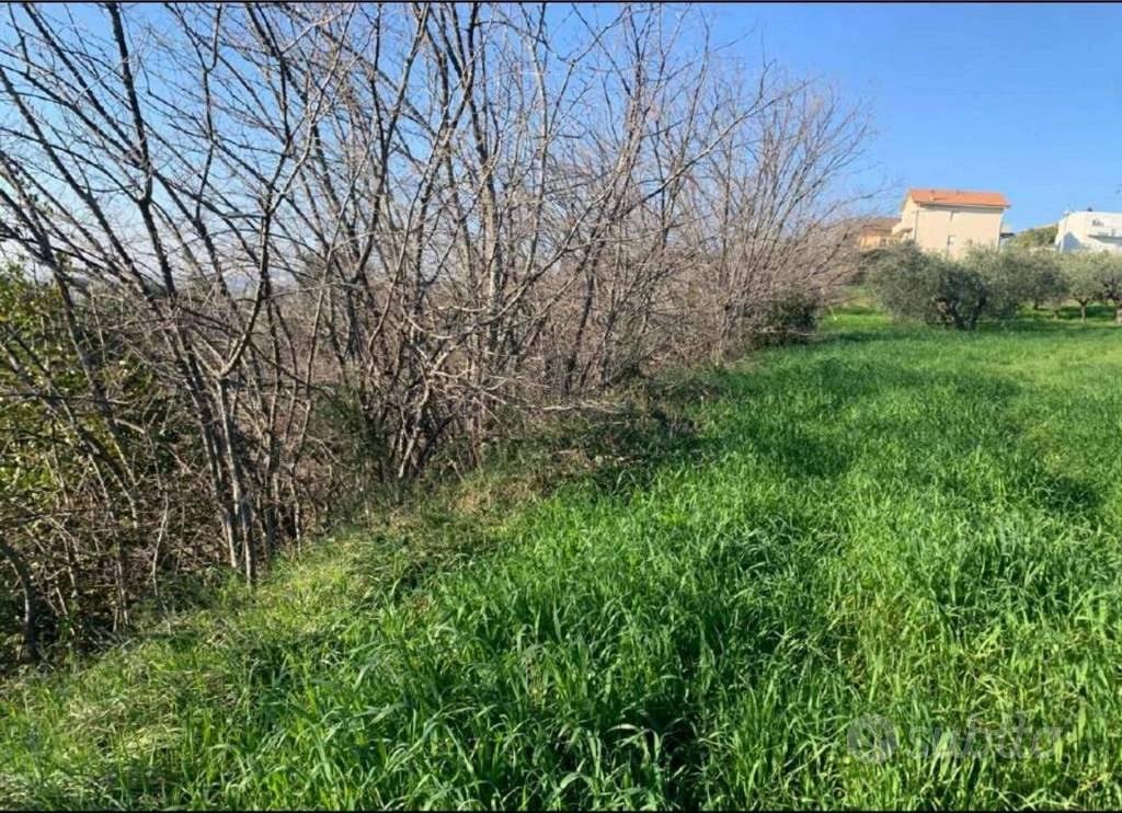 Immobile in asta di 2560 m² a Sant'Elpidio a Mare - Vista 5
