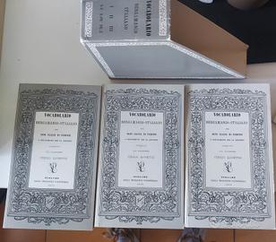 VOCABOLARIO ITALIANO BERGAMASCO  BOX DIA LIBRO