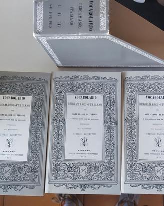 VOCABOLARIO ITALIANO BERGAMASCO  BOX DIA LIBRO
