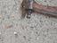 Immagine 2
