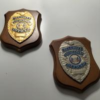 minicrest Police USA