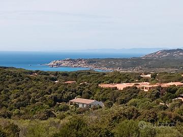 Sardegna Rena majore