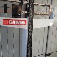 Bilancia Gima