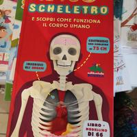 Libro modello da costruire