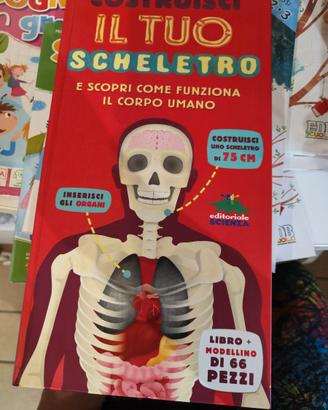 Libro modello da costruire