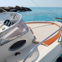 Barca e motore fuoribordo