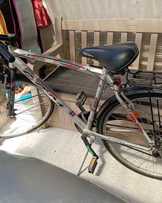 Bicicletta da city 