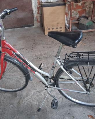 Bicicletta marchio Daytona