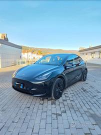 TESLA Model Y Single Motor rwd