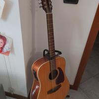 Chitarra 12 corde