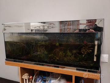 acquario 70 litri