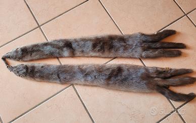 coppia visone grigio