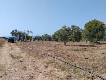 terreno agricolo 3500 mq con uliveto e frutteto 