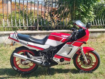 Yamaha RD 350 - 1987