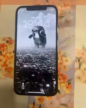 iPhone 12 Pro