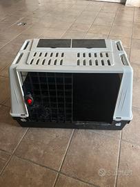 Trasportino cani per auto