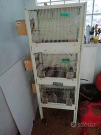gabbia