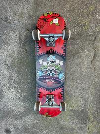 Skateboard Roces