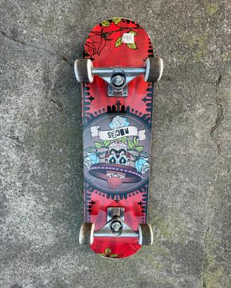 Skateboard Roces