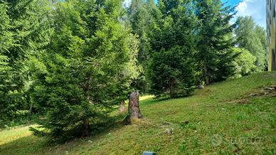 Estate in montagna