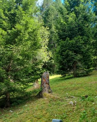 Estate in montagna