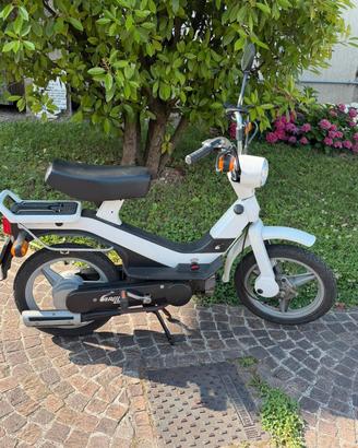 Ciclomotore Piaggio Grillo