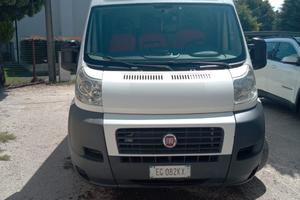 ducato maxi tetto alto2.3 mtj 120cv