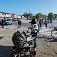 Nr. 2 Navicelle per passeggino gemellare Tfk