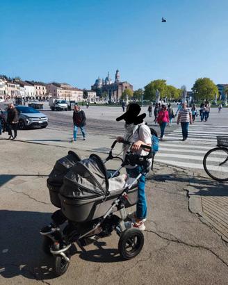 Nr. 2 Navicelle per passeggino gemellare Tfk