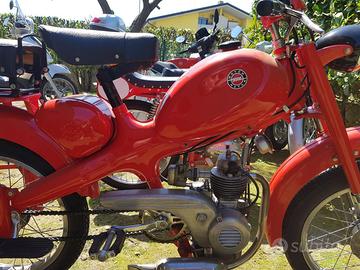 Moto Motom
