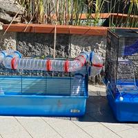 Gabbie e accessori per Criceti o piccoli roditori