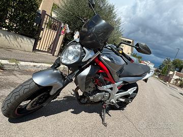 Suzuki sfv650 Gladius