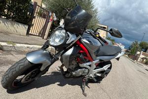 Suzuki sfv650 Gladius