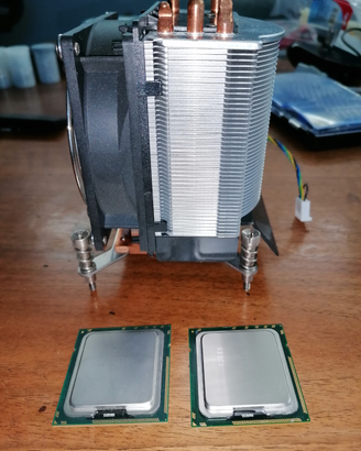 Coppia CPU Intel XEON