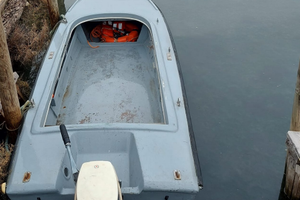 Pattanella vetroresina