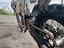 Immagine 5