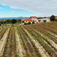 Indipendente a Montecchio