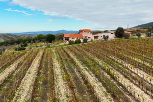 Indipendente a Montecchio