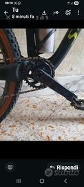bicicletta  s.works 