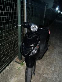 Zip sp 2008